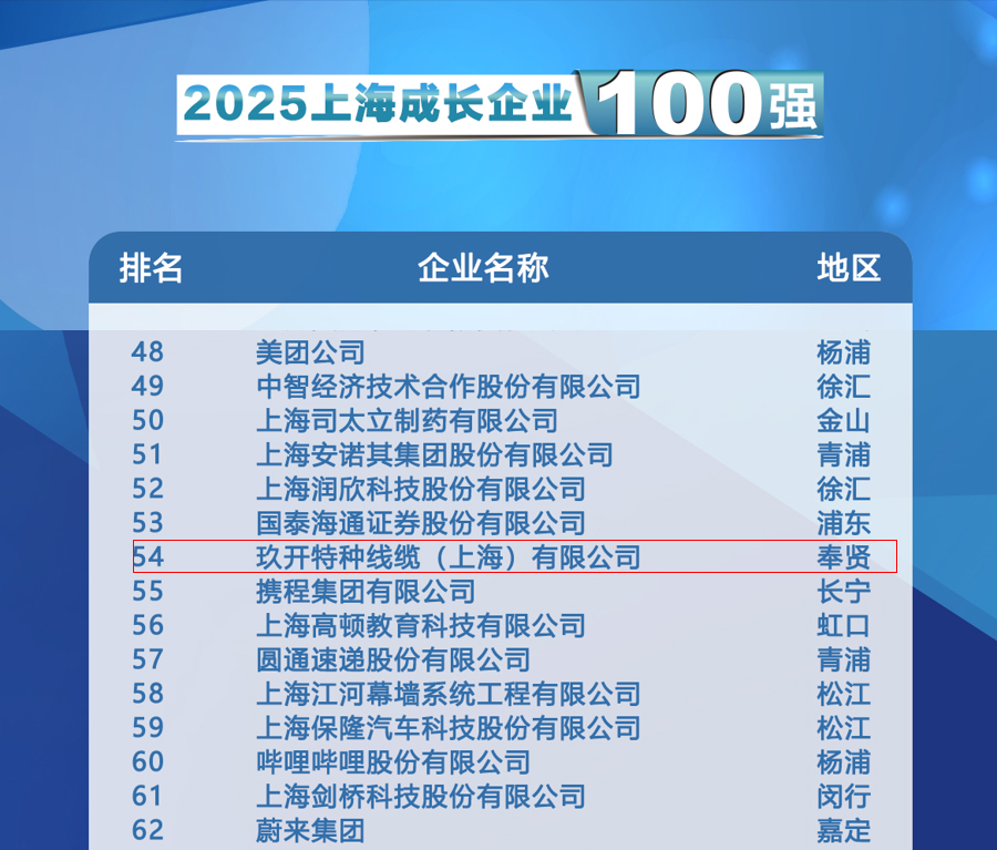聚焦2025上海百强发布会：ok138cn太阳集团登榜成长企业100强
